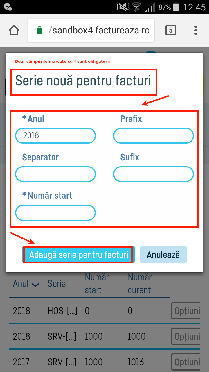 Cum adaug o serie de facturi? - pasul 3