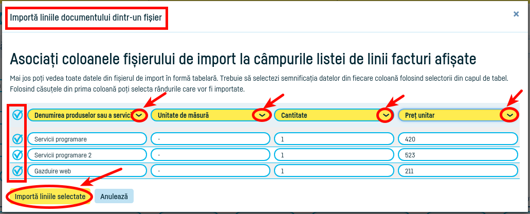 Import linii din documente în factura ta - pasul 4