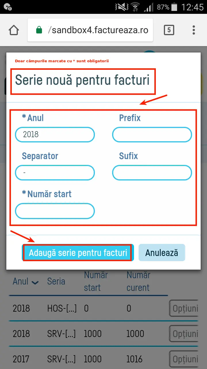 Cum adaug o serie de facturi? - pasul 3